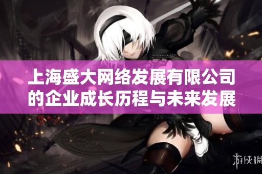 上海盛大网络发展有限公司的企业成长历程与未来发展展望