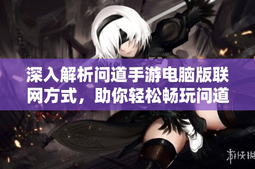 深入解析问道手游电脑版联网方式，助你轻松畅玩问道手游线上游戏