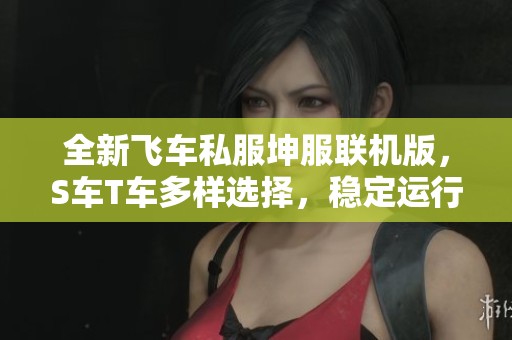 全新飞车私服坤服联机版，S车T车多样选择，稳定运行高爆率体验