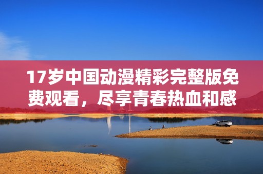 17岁中国动漫精彩完整版免费观看，尽享青春热血和感动情节
