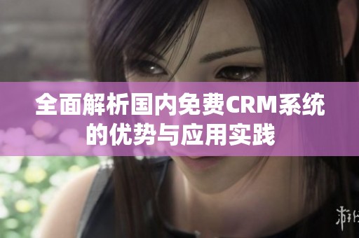 全面解析国内免费CRM系统的优势与应用实践