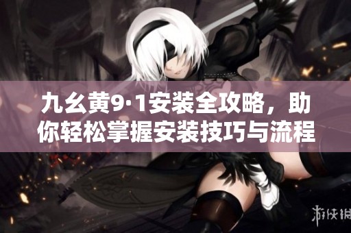 九幺黄9·1安装全攻略，助你轻松掌握安装技巧与流程