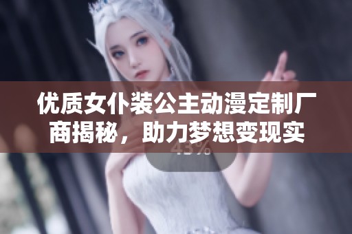 优质女仆装公主动漫定制厂商揭秘，助力梦想变现实