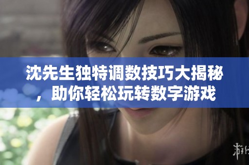 沈先生独特调数技巧大揭秘，助你轻松玩转数字游戏