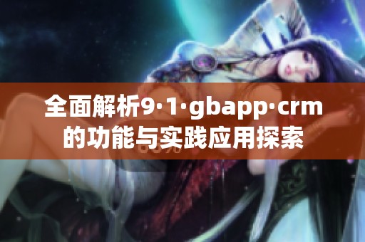 全面解析9·1·gbapp·crm的功能与实践应用探索
