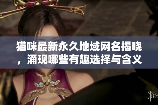 猫咪最新永久地域网名揭晓，涌现哪些有趣选择与含义