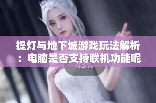 提灯与地下城游戏玩法解析：电脑是否支持联机功能呢
