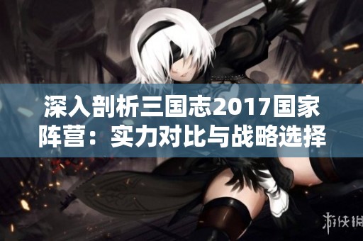 深入剖析三国志2017国家阵营：实力对比与战略选择全解读