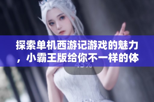 探索单机西游记游戏的魅力，小霸王版给你不一样的体验