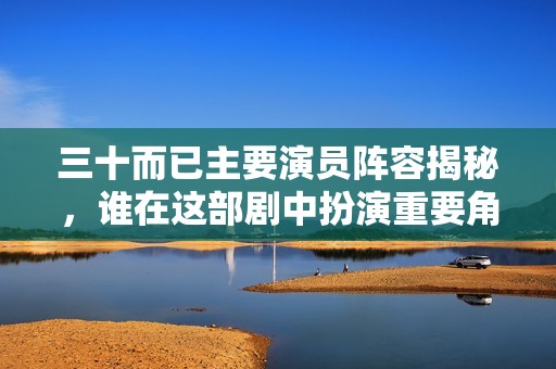 三十而已主要演员阵容揭秘，谁在这部剧中扮演重要角色