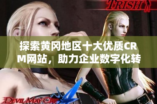 探索黄冈地区十大优质CRM网站，助力企业数字化转型与管理提升