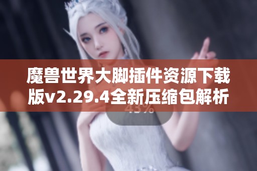 魔兽世界大脚插件资源下载版v2.29.4全新压缩包解析与使用指南