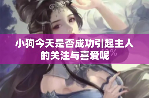 小狗今天是否成功引起主人的关注与喜爱呢