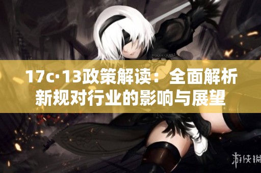 17c·13政策解读：全面解析新规对行业的影响与展望