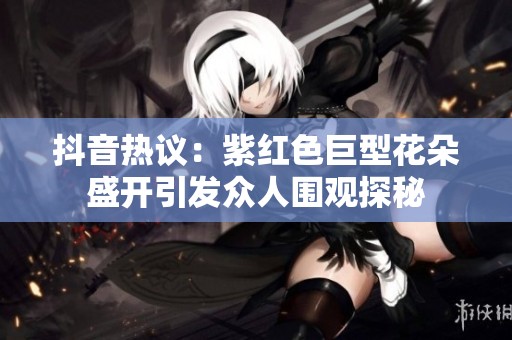 抖音热议：紫红色巨型花朵盛开引发众人围观探秘