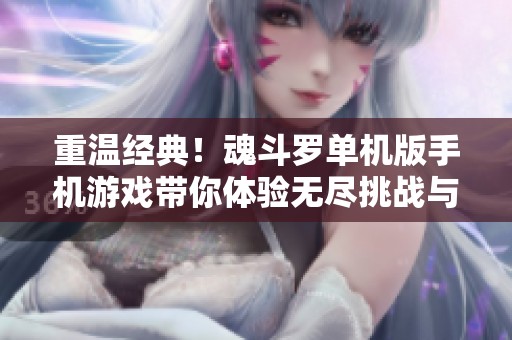 重温经典！魂斗罗单机版手机游戏带你体验无尽挑战与乐趣