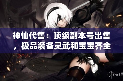 神仙代售：顶级副本号出售，极品装备灵武和宝宝齐全，多重仓库四级随时可领！