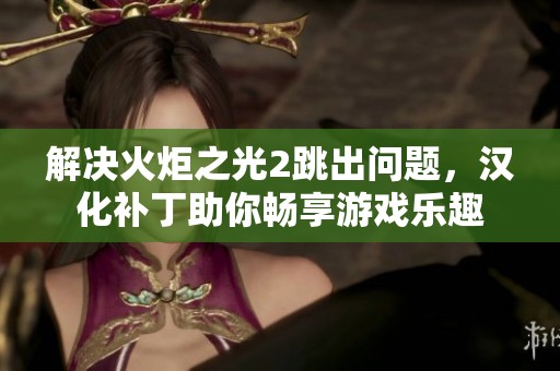 解决火炬之光2跳出问题，汉化补丁助你畅享游戏乐趣