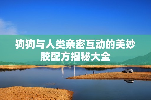 狗狗与人类亲密互动的美妙胶配方揭秘大全