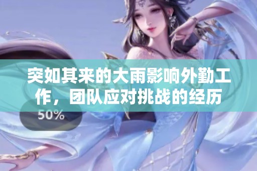 突如其来的大雨影响外勤工作，团队应对挑战的经历