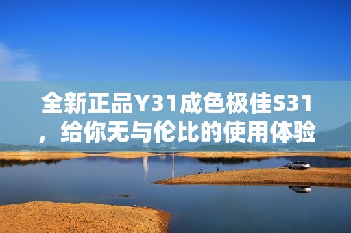 全新正品Y31成色极佳S31，给你无与伦比的使用体验