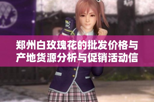 郑州白玫瑰花的批发价格与产地货源分析与促销活动信息分享