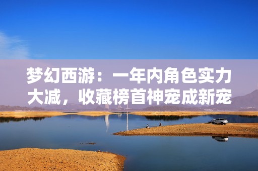 梦幻西游：一年内角色实力大减，收藏榜首神宠成新宠之选