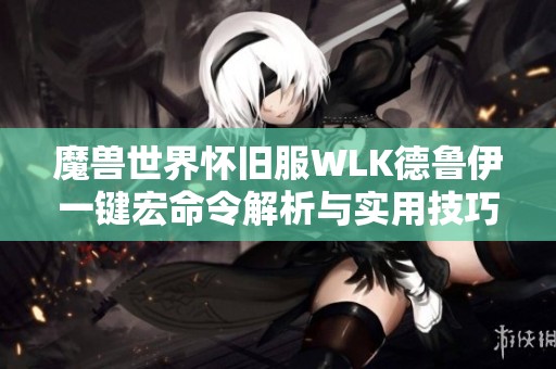 魔兽世界怀旧服WLK德鲁伊一键宏命令解析与实用技巧分享