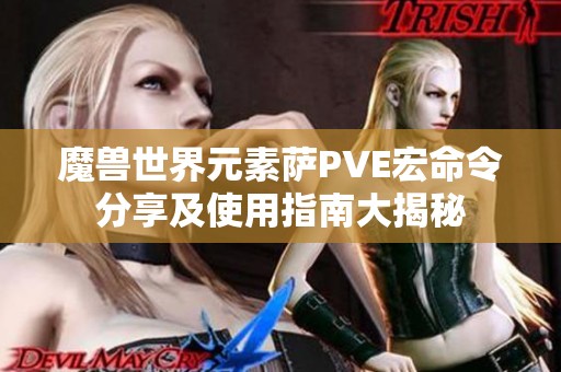 魔兽世界元素萨PVE宏命令分享及使用指南大揭秘