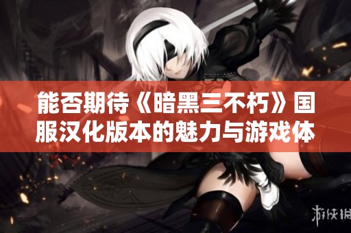 能否期待《暗黑三不朽》国服汉化版本的魅力与游戏体验探讨