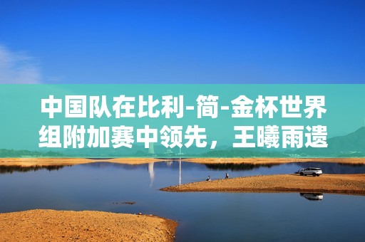 中国队在比利-简-金杯世界组附加赛中领先，王曦雨遗憾丢一场