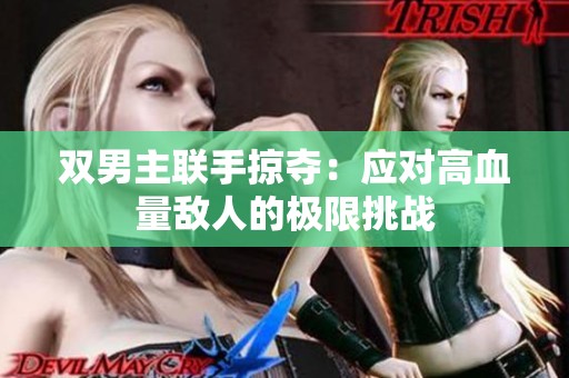 双男主联手掠夺：应对高血量敌人的极限挑战