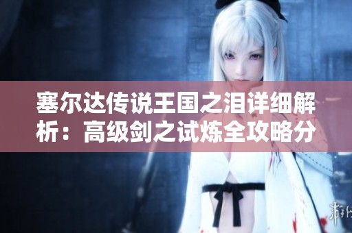 塞尔达传说王国之泪详细解析：高级剑之试炼全攻略分享