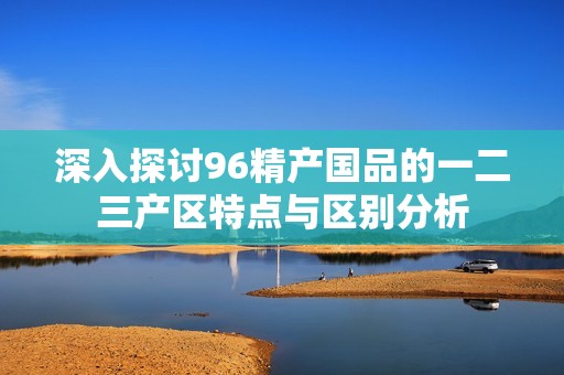 深入探讨96精产国品的一二三产区特点与区别分析