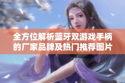 全方位解析蓝牙双游戏手柄的厂家品牌及热门推荐图片