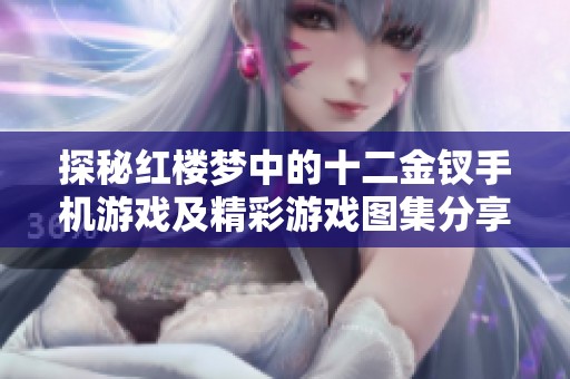 探秘红楼梦中的十二金钗手机游戏及精彩游戏图集分享