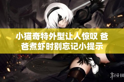 小猫奇特外型让人惊叹 爸爸煮虾时别忘记小提示