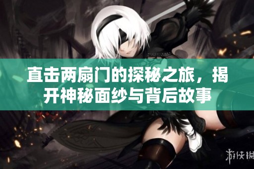 直击两扇门的探秘之旅，揭开神秘面纱与背后故事