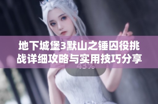 地下城堡3默山之锤囚役挑战详细攻略与实用技巧分享