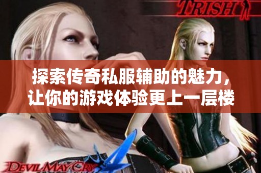 探索传奇私服辅助的魅力，让你的游戏体验更上一层楼