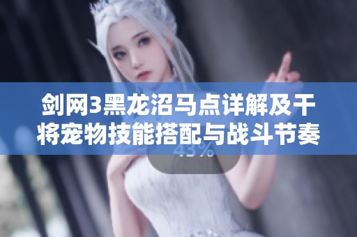 剑网3黑龙沼马点详解及干将宠物技能搭配与战斗节奏分析