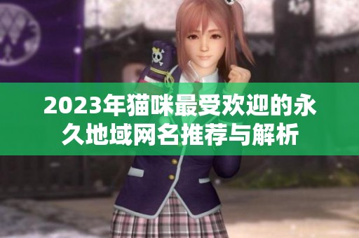2023年猫咪最受欢迎的永久地域网名推荐与解析