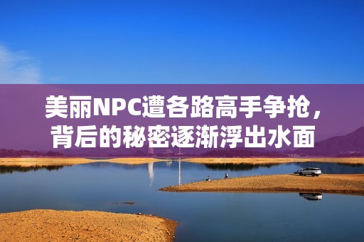 美丽NPC遭各路高手争抢，背后的秘密逐渐浮出水面