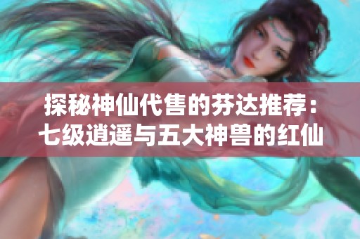 探秘神仙代售的芬达推荐：七级逍遥与五大神兽的红仙侣之旅