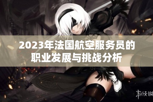 2023年法国航空服务员的职业发展与挑战分析