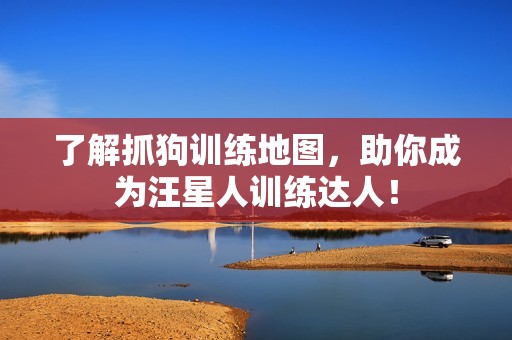 了解抓狗训练地图，助你成为汪星人训练达人！