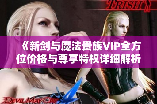 《新剑与魔法贵族VIP全方位价格与尊享特权详细解析》