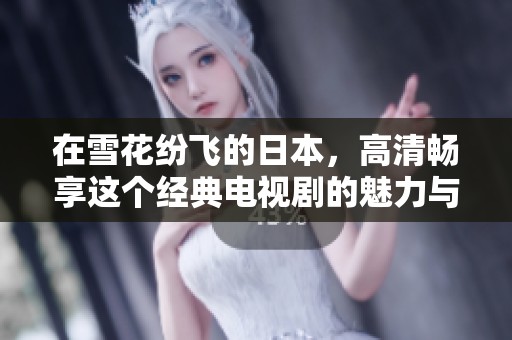 在雪花纷飞的日本，高清畅享这个经典电视剧的魅力与感动