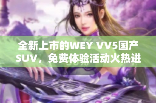 全新上市的WEY VV5国产SUV，免费体验活动火热进行中