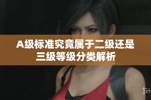 A级标准究竟属于二级还是三级等级分类解析